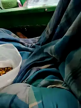 Kolkata   Boy online show from 8, 12, 2024