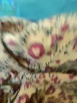 Kolkata   Boy online show from 18, 2, 2025